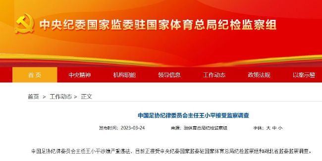久久亚洲精品国产亚洲老地址